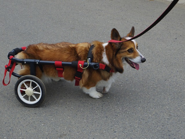 640×480IMGP8726.jpg