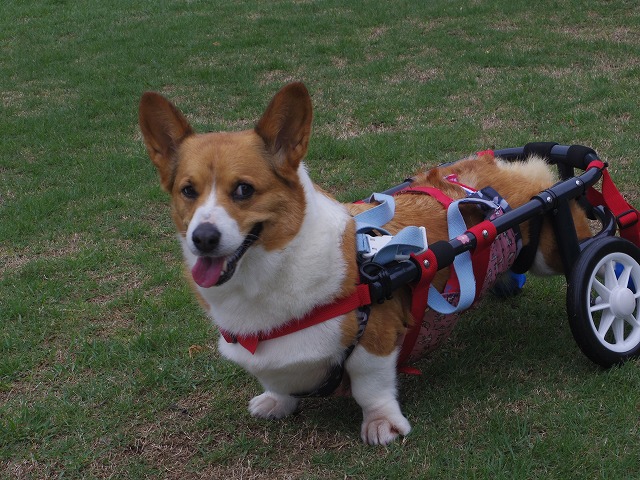 640×480IMGP8773.jpg