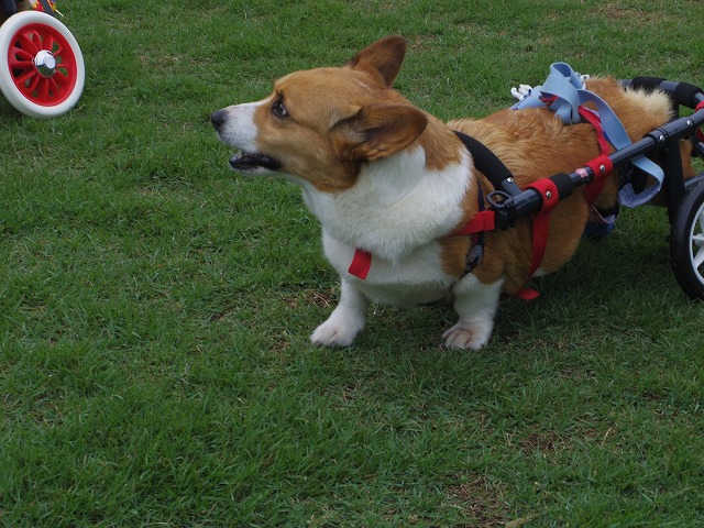 640×480IMGP8776.jpg