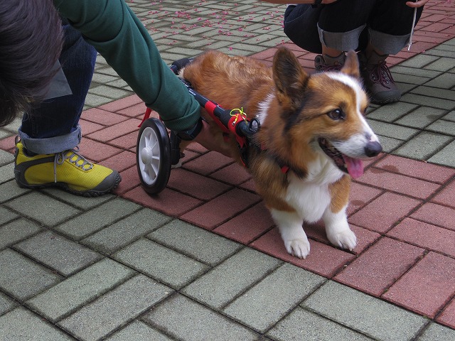 640×480IMGP8786.jpg