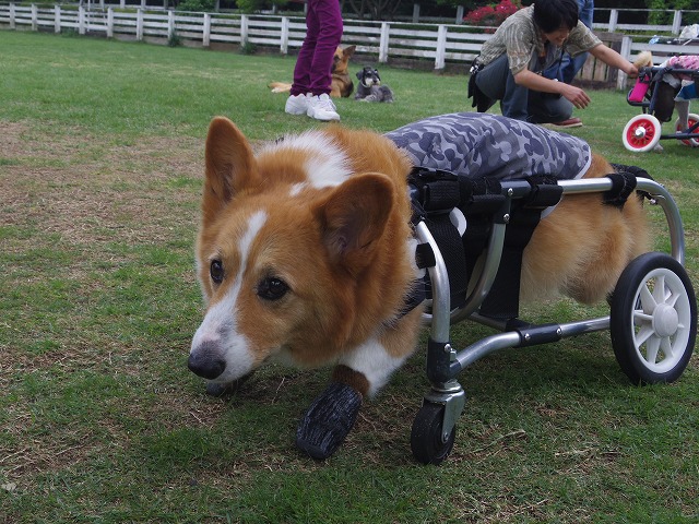 640×480IMGP8822.jpg