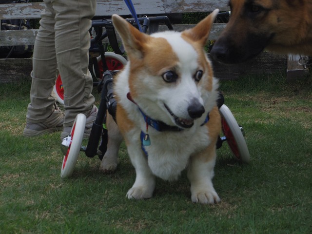 640×480IMGP8847.jpg