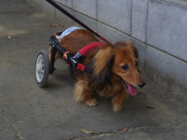 640×480IMGP8866.jpg