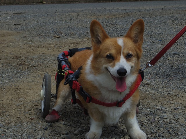 640×480IMGP9211.jpg