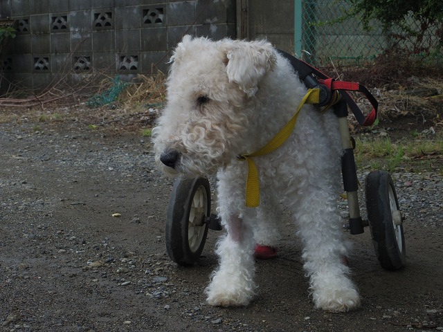 640×480IMGP9241.jpg