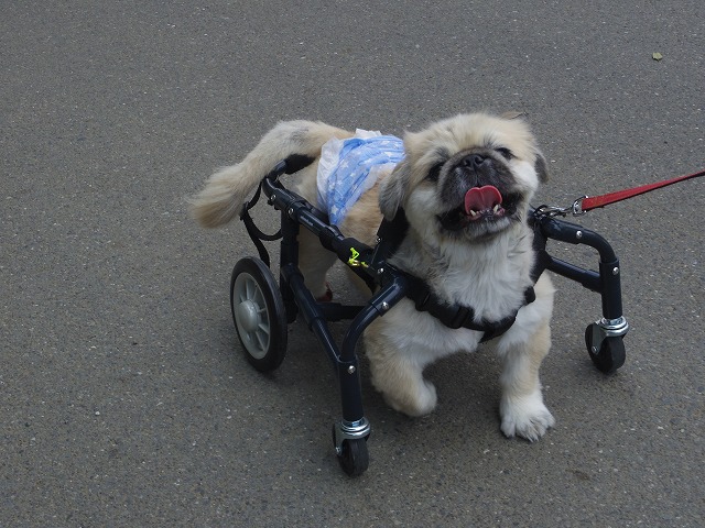 640×480IMGP9892.jpg