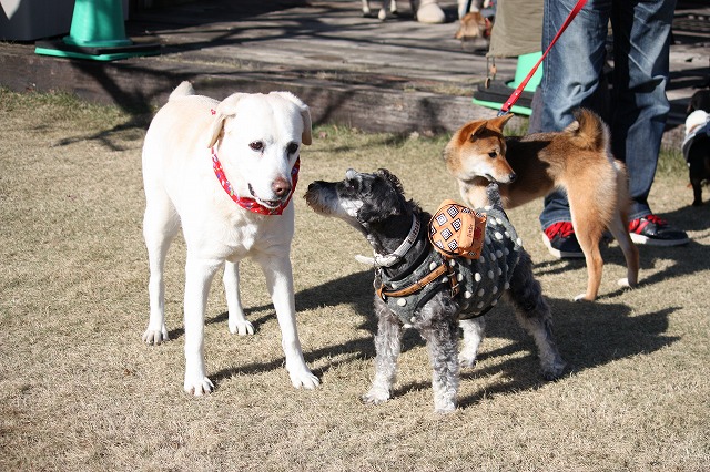 640×480IMG_4998.jpg