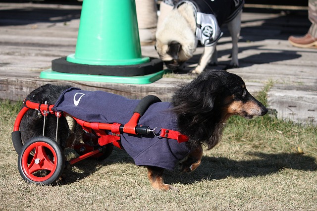 640×480IMG_5011.jpg