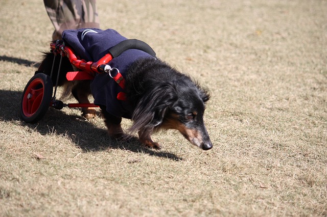 640×480IMG_5028.jpg