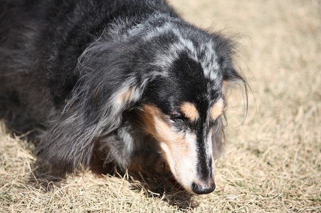 640×480IMG_5065.jpg