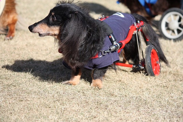 640×480IMG_5067.jpg