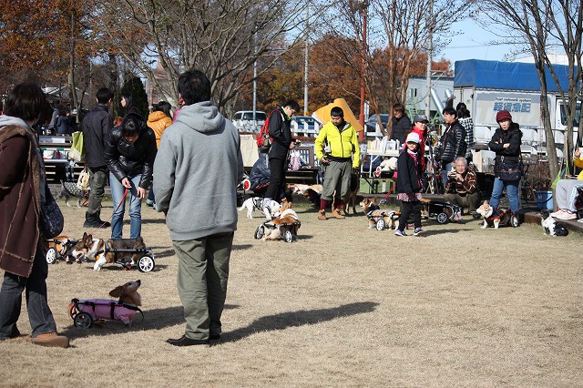 640×480IMG_5107.jpg