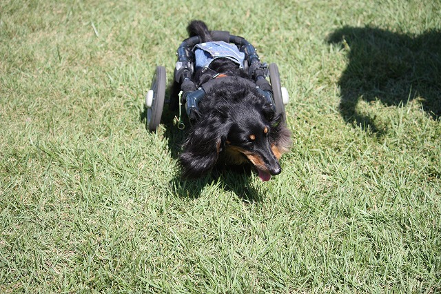 640×480IMG_5259.jpg