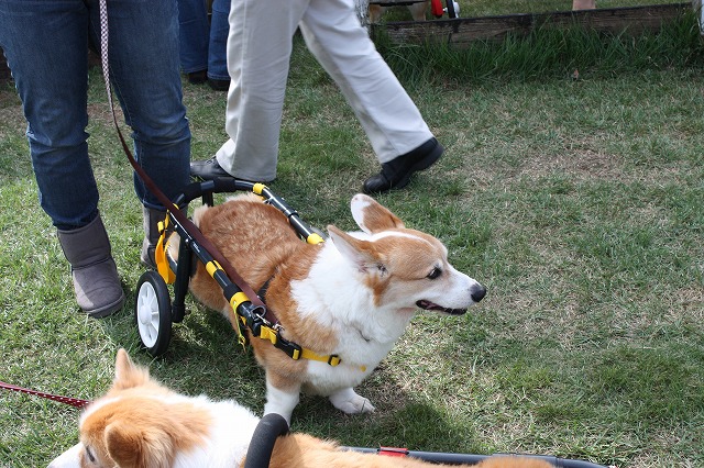 640×480IMG_5732.jpg