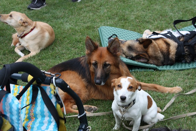 640×480IMG_5758.jpg