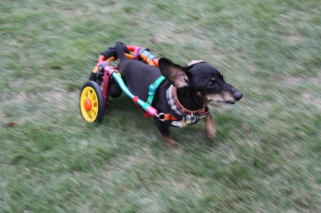 640×480IMG_5772.jpg