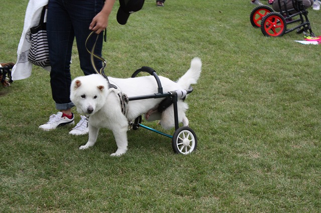 640×480IMG_5787.jpg
