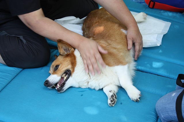 640×480IMG_5911.jpg