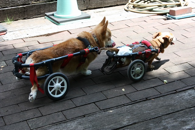 640×480IMG_5933.jpg