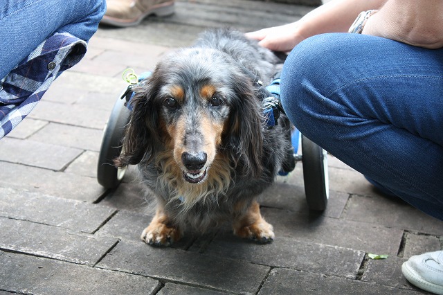 640×480IMG_5935.jpg