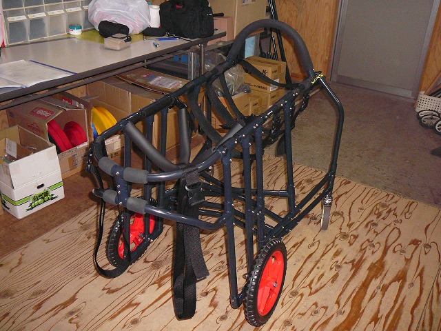 640×480P1190349.jpg