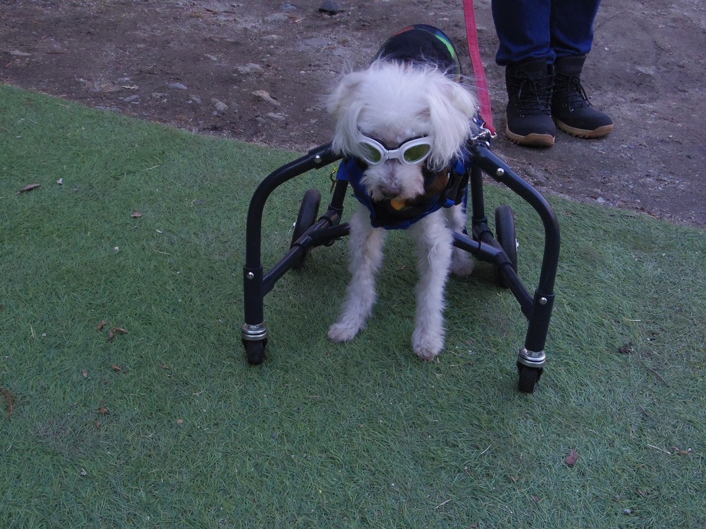 IMGP1164.jpg