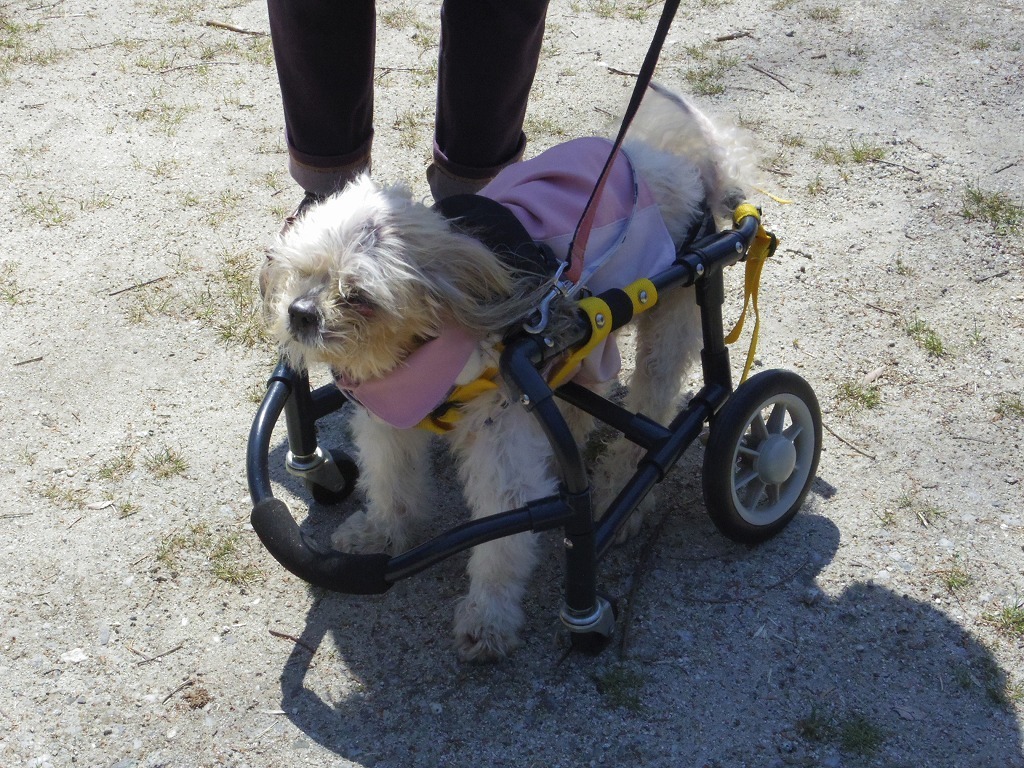IMGP2111.jpg