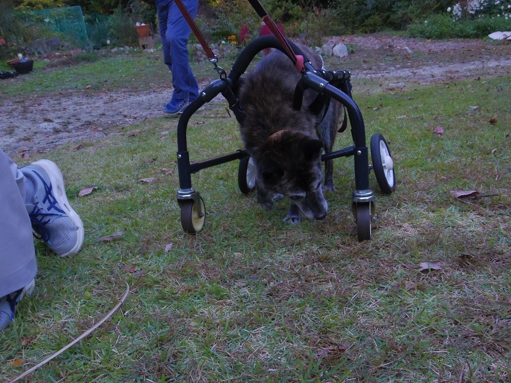 IMGP2767.jpg