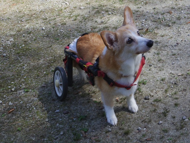 IMGP8795.jpg