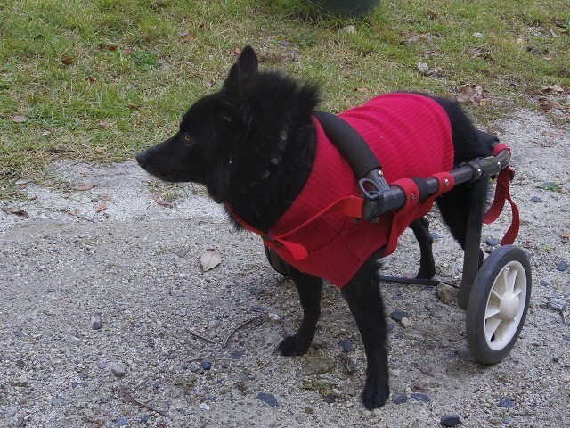 IMGP9854.jpg